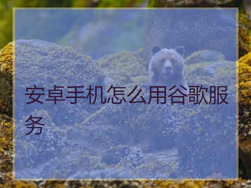 安卓手机怎么用谷歌服务
