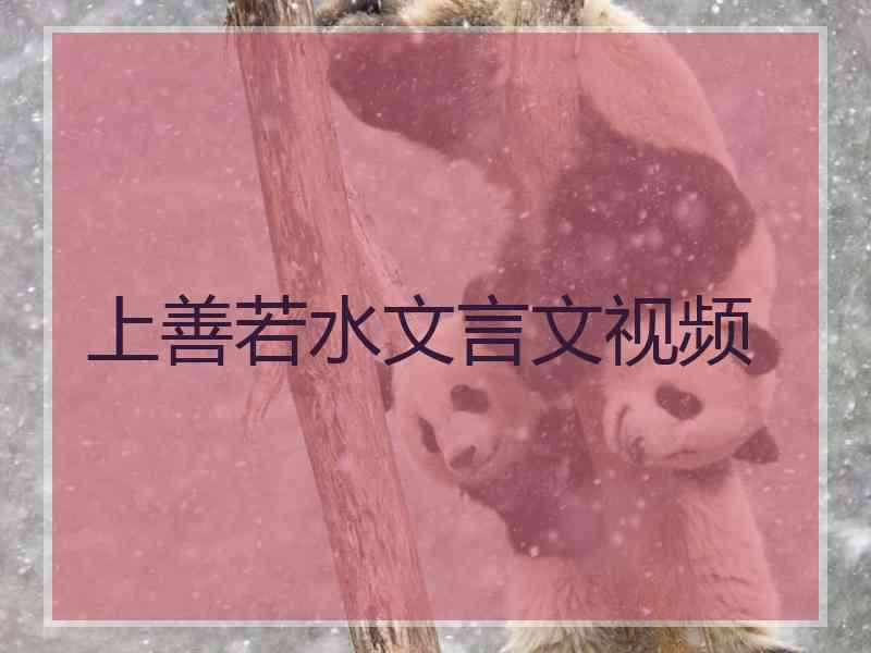 上善若水文言文视频