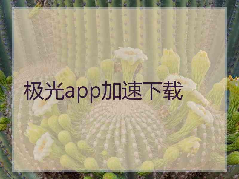 极光app加速下载