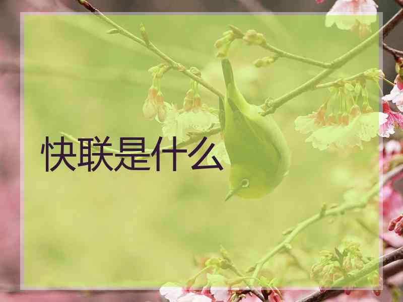 快联是什么
