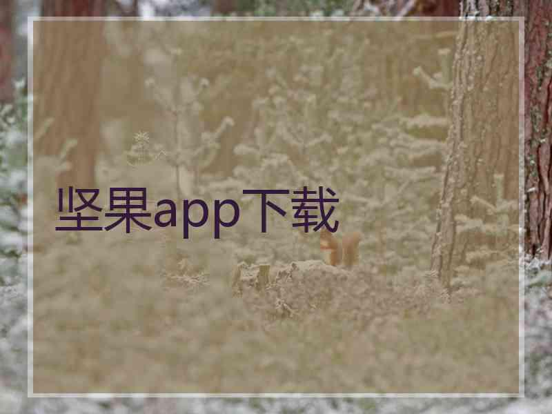 坚果app下载