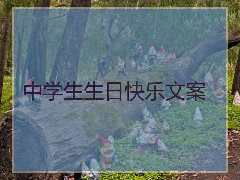 中学生生日快乐文案