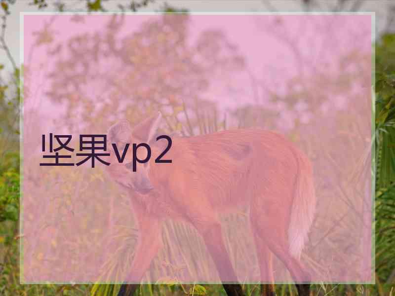 坚果vp2