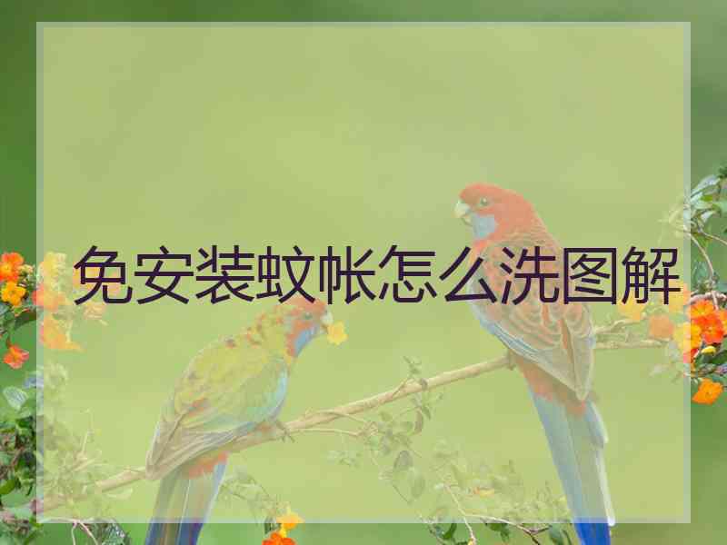 免安装蚊帐怎么洗图解