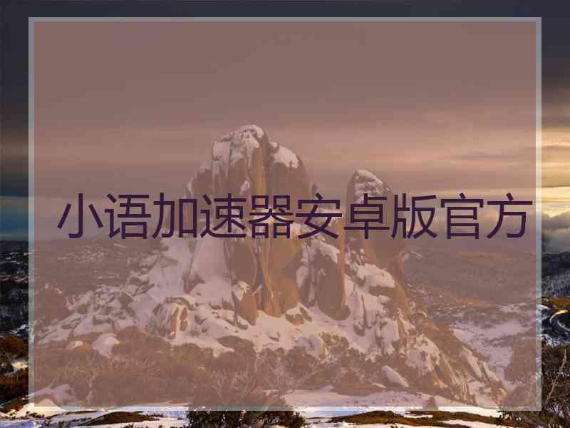 小语加速器安卓版官方