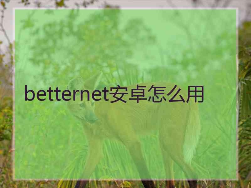 betternet安卓怎么用