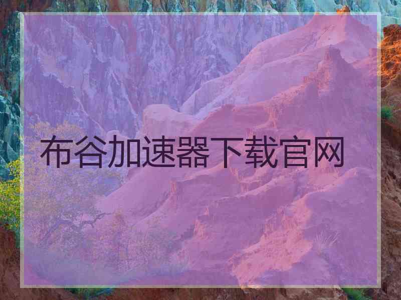 布谷加速器下载官网