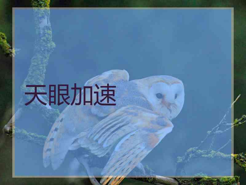 天眼加速