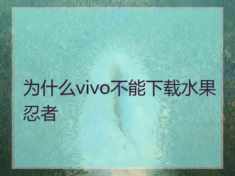 为什么vivo不能下载水果忍者
