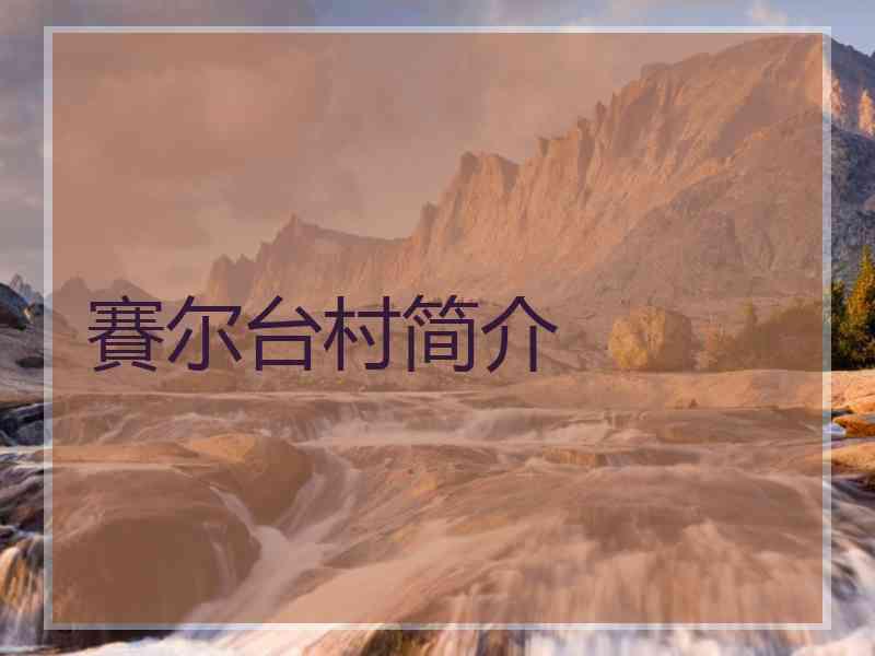 賽尔台村简介