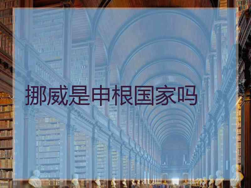 挪威是申根国家吗