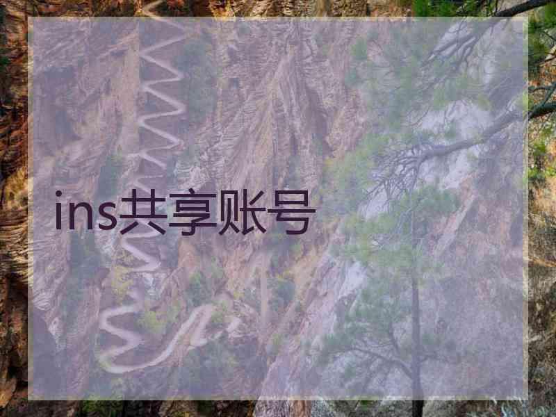 ins共享账号