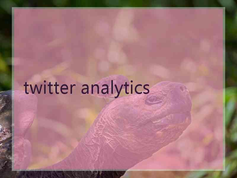 twitter analytics