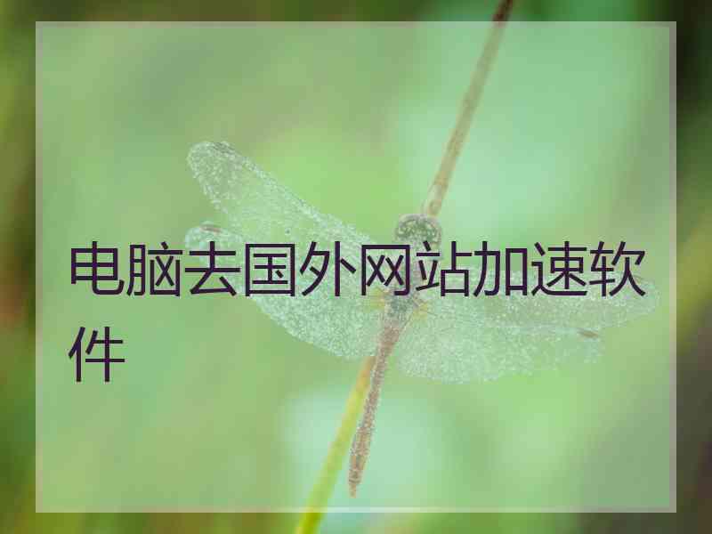 电脑去国外网站加速软件