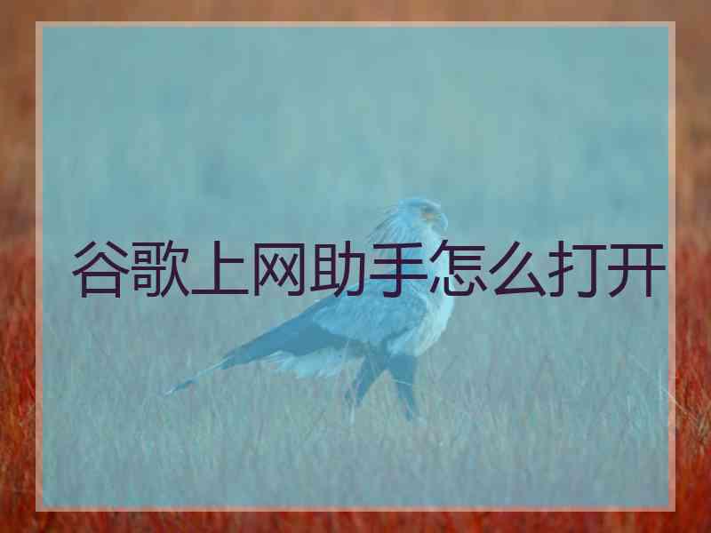 谷歌上网助手怎么打开