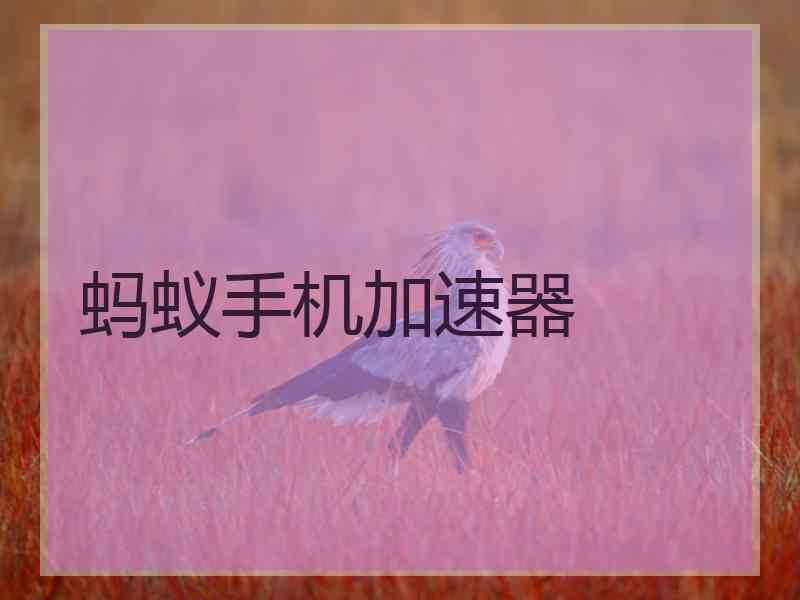 蚂蚁手机加速器