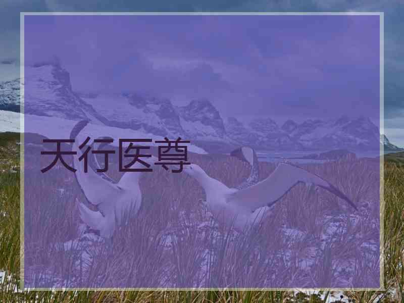 天行医尊