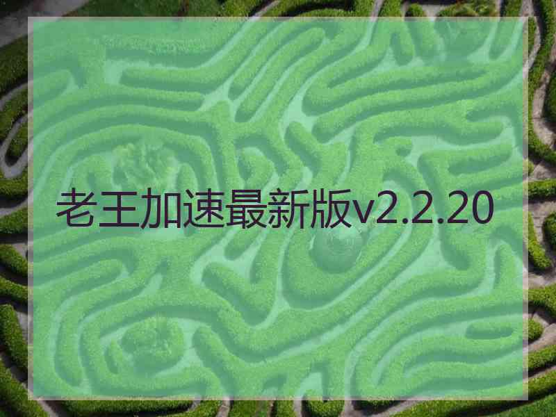 老王加速最新版v2.2.20