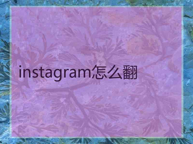 instagram怎么翻