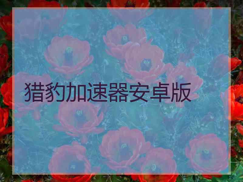 猎豹加速器安卓版