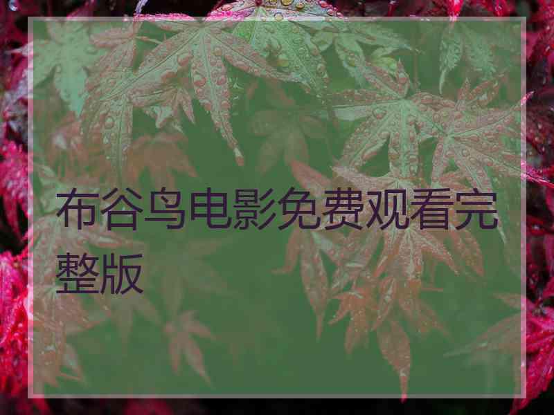 布谷鸟电影免费观看完整版