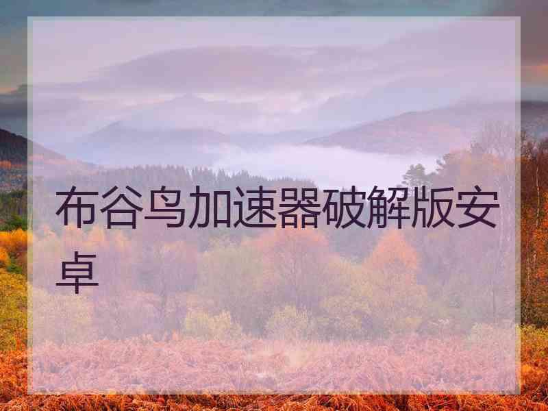 布谷鸟加速器破解版安卓