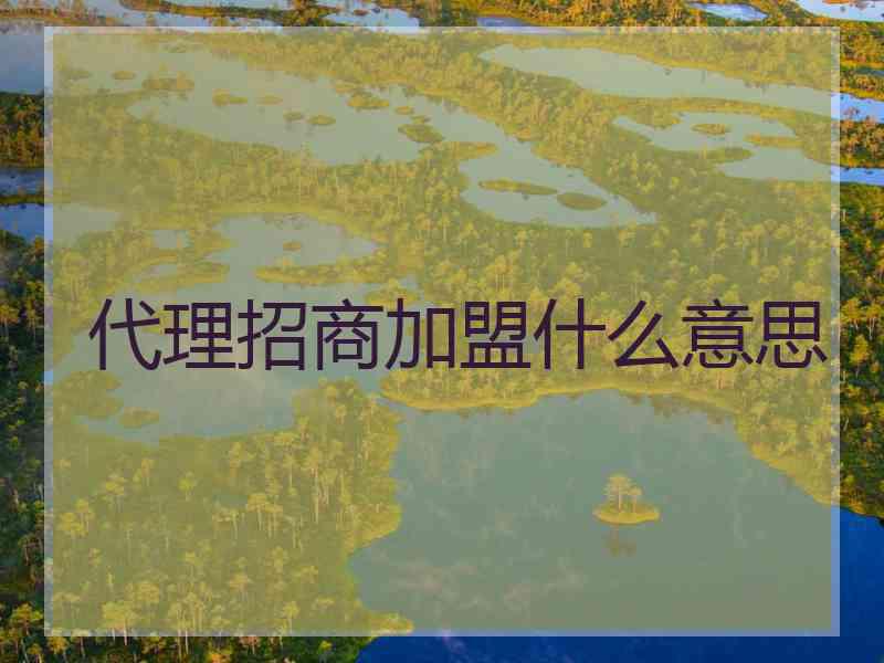 代理招商加盟什么意思