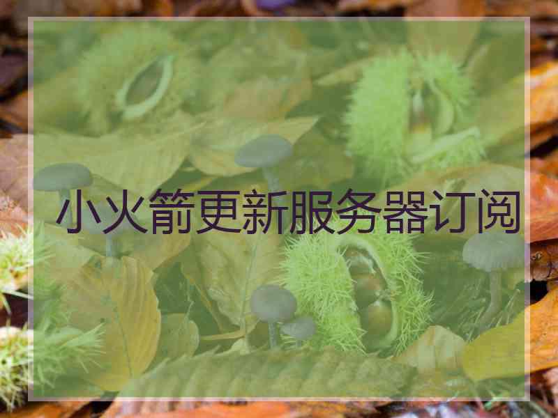 小火箭更新服务器订阅