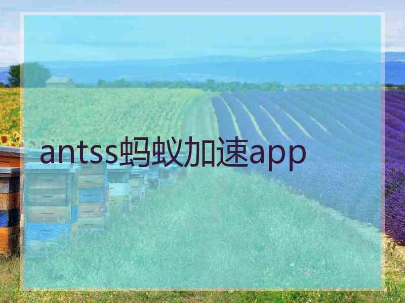 antss蚂蚁加速app