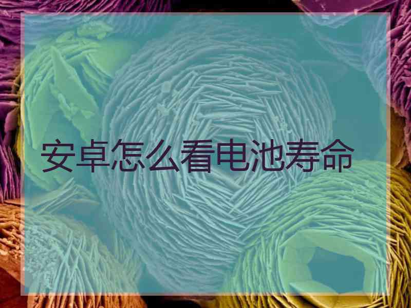 安卓怎么看电池寿命