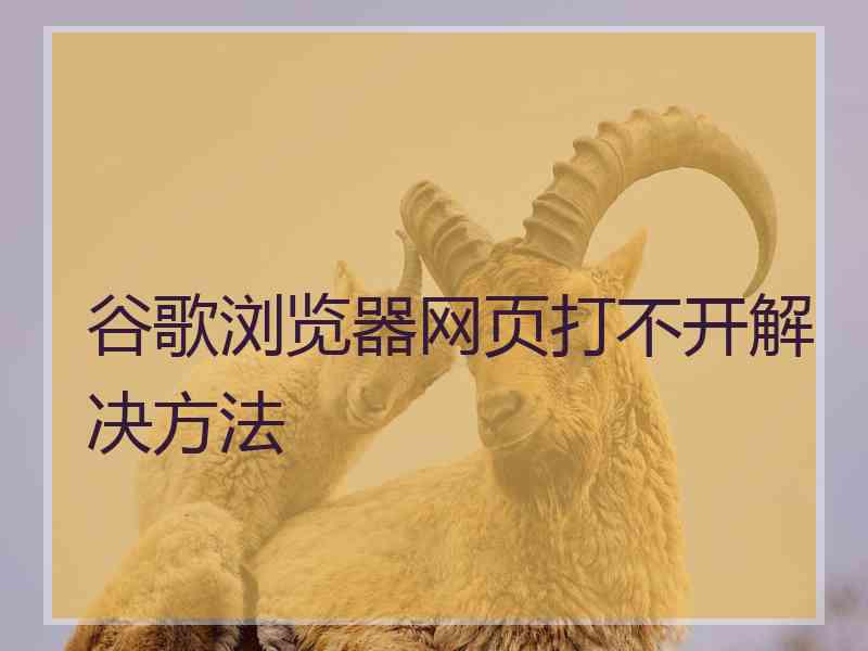 谷歌浏览器网页打不开解决方法