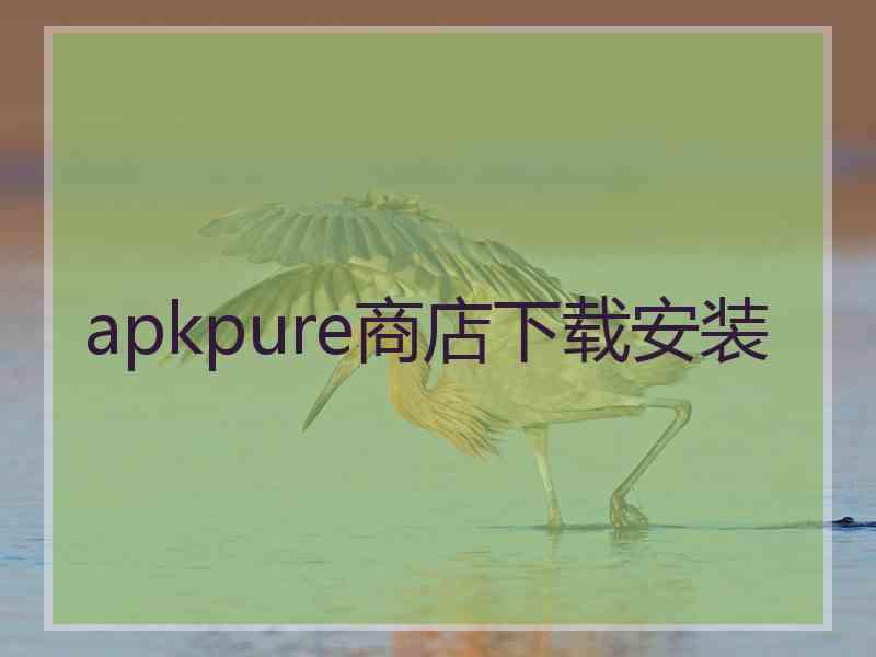 apkpure商店下载安装
