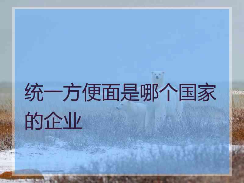 统一方便面是哪个国家的企业