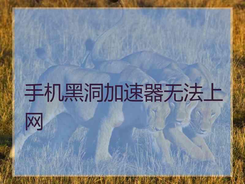 手机黑洞加速器无法上网