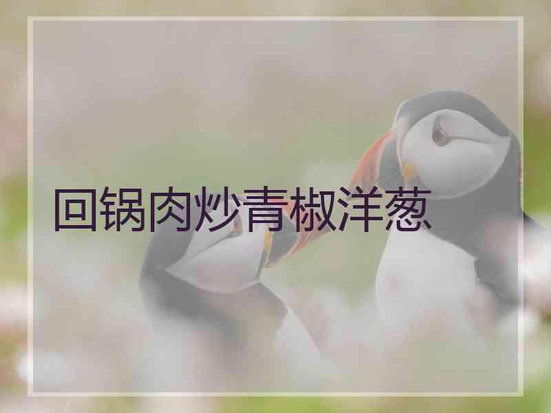 回锅肉炒青椒洋葱