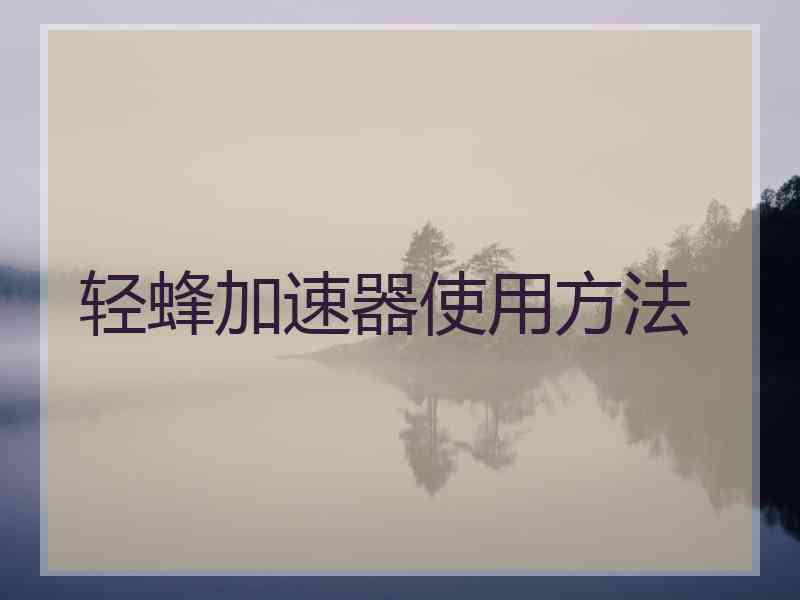 轻蜂加速器使用方法