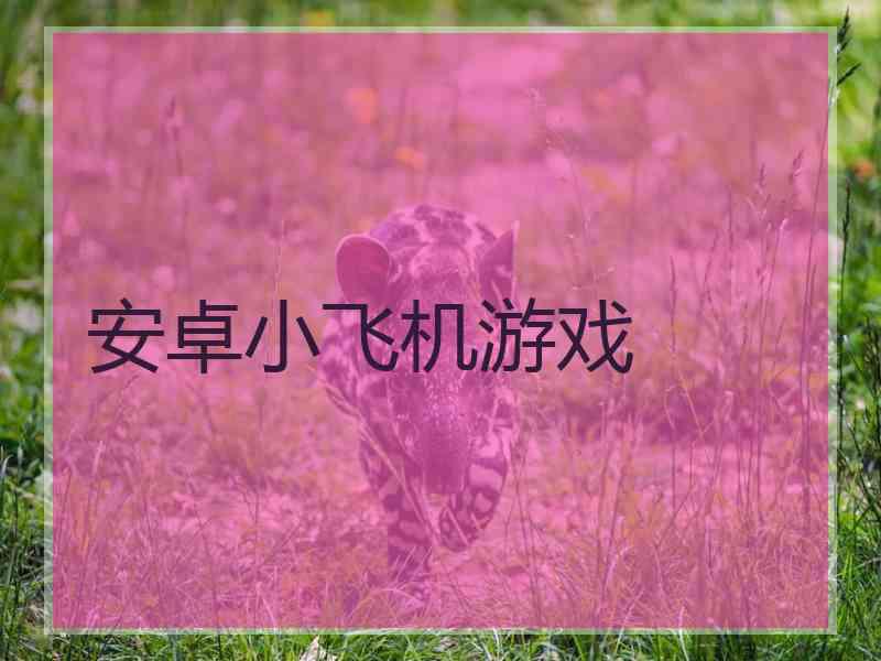 安卓小飞机游戏