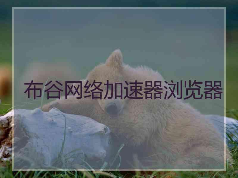 布谷网络加速器浏览器