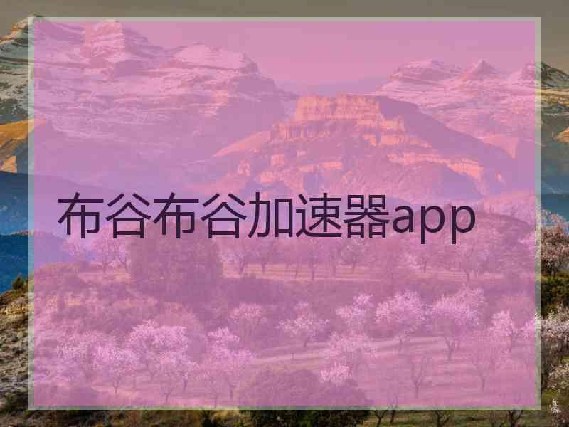 布谷布谷加速器app