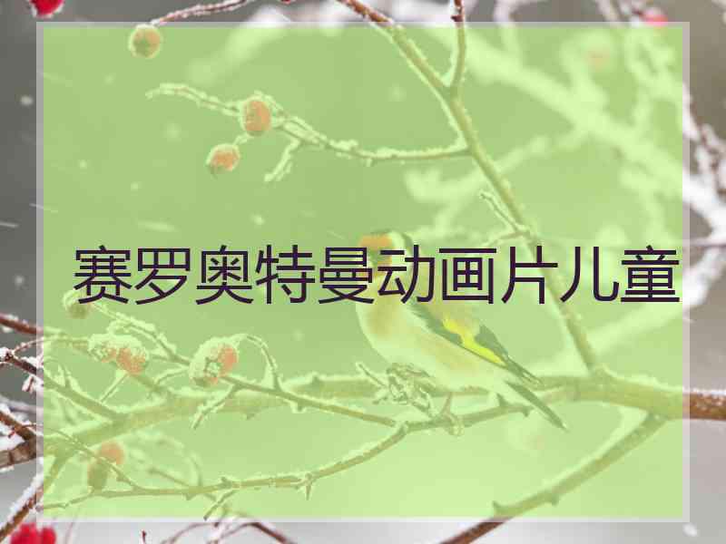 赛罗奥特曼动画片儿童