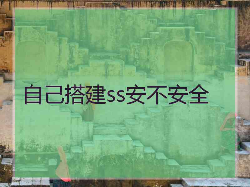 自己搭建ss安不安全