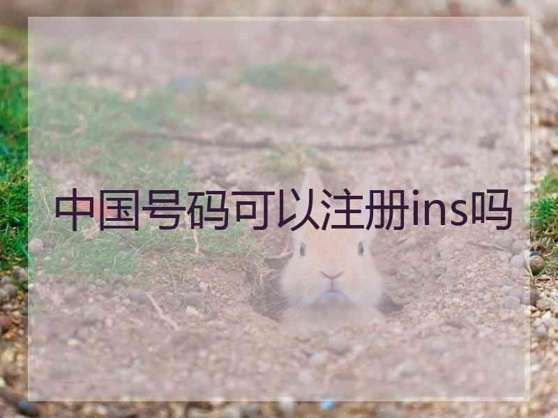 中国号码可以注册ins吗