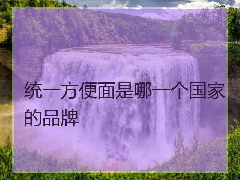 统一方便面是哪一个国家的品牌
