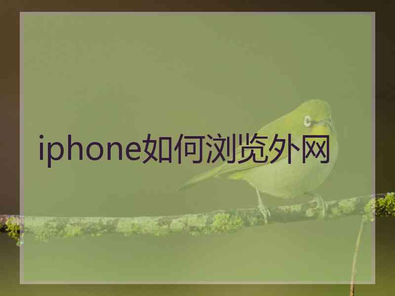 iphone如何浏览外网