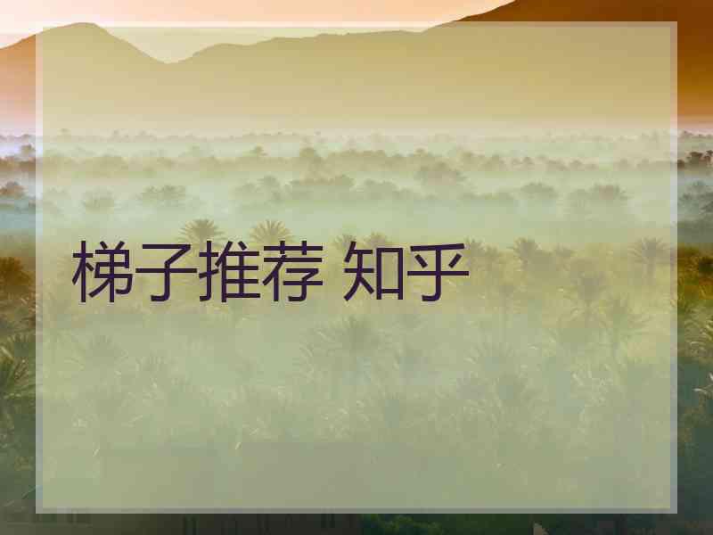 梯子推荐 知乎