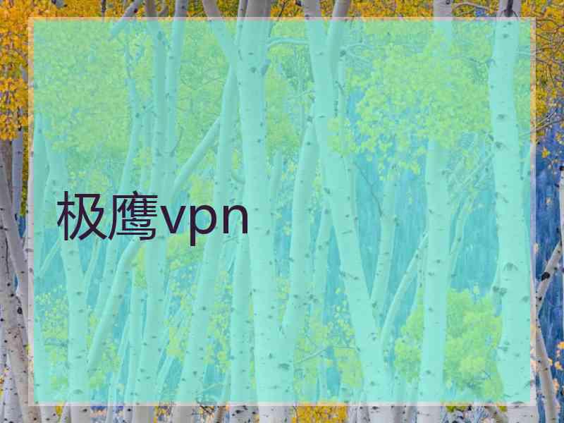 极鹰vpn