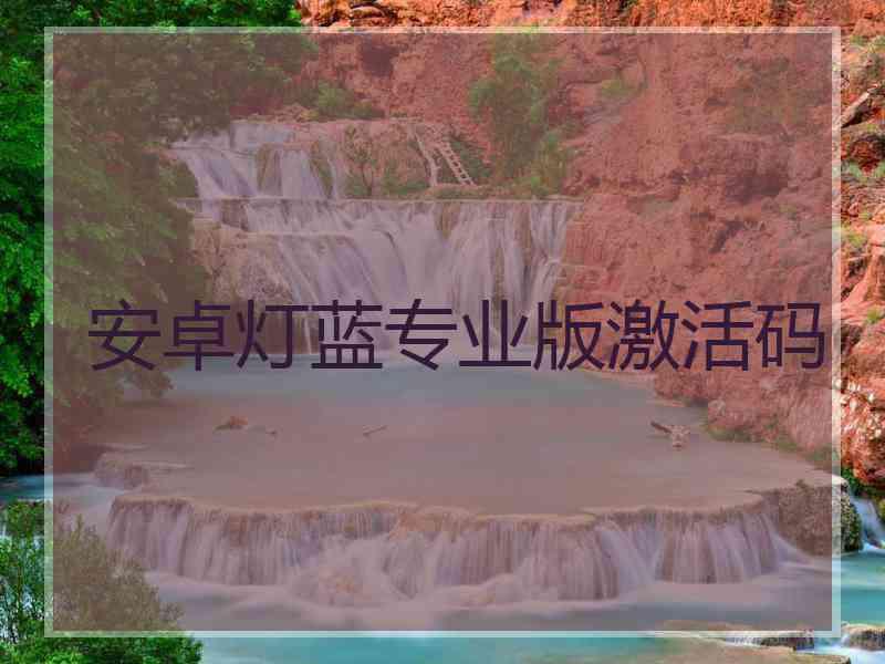 安卓灯蓝专业版激活码