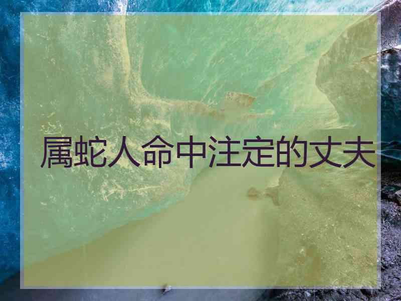 属蛇人命中注定的丈夫