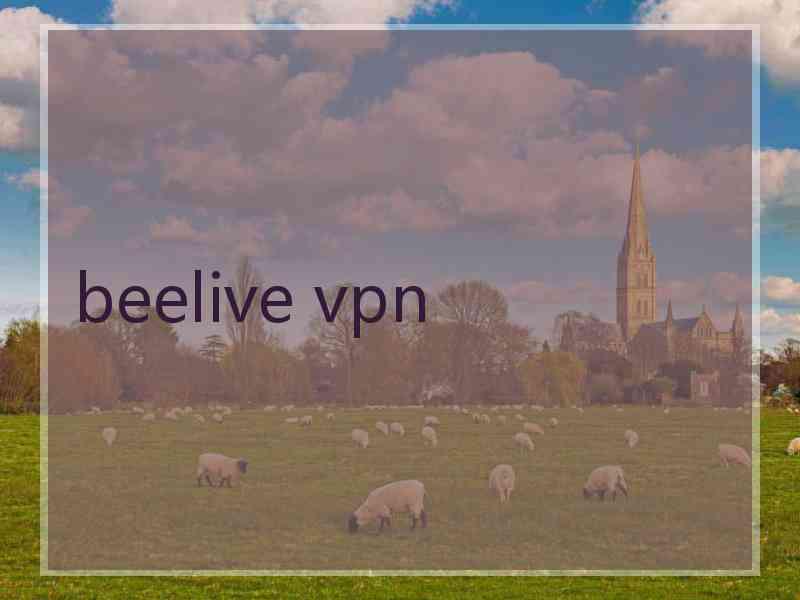 beelive vpn