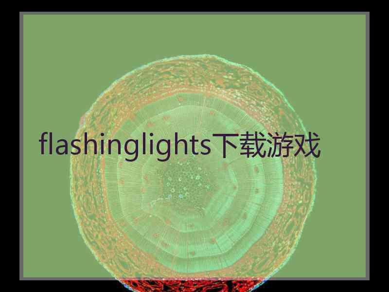 flashinglights下载游戏